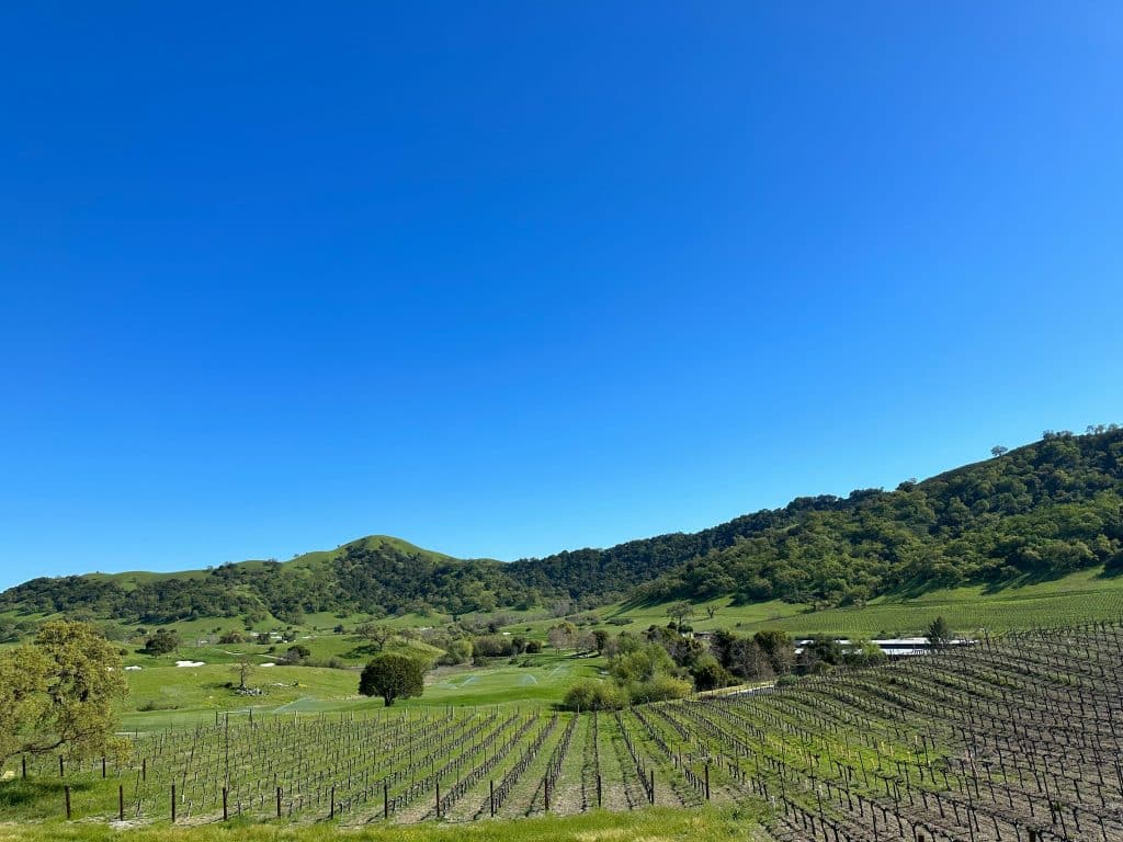 Local green field representing San Martin property management service.
